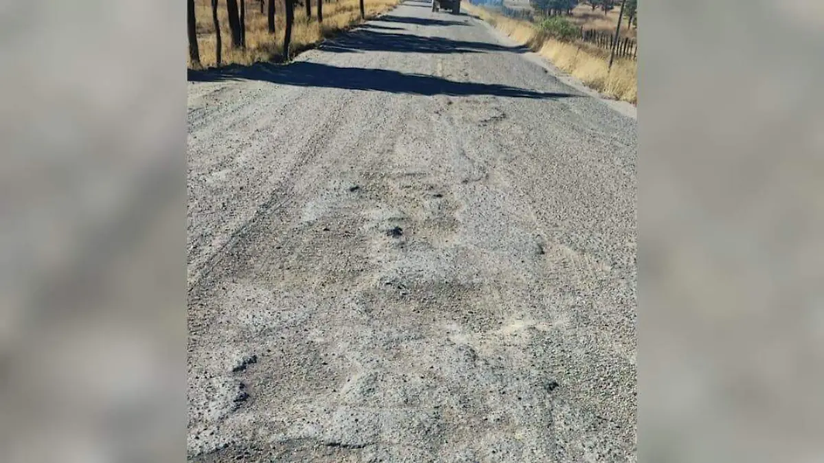 baches de la carretera Parral Guadalupe y Calvo